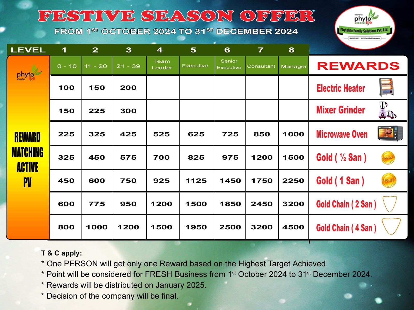 Festive offer