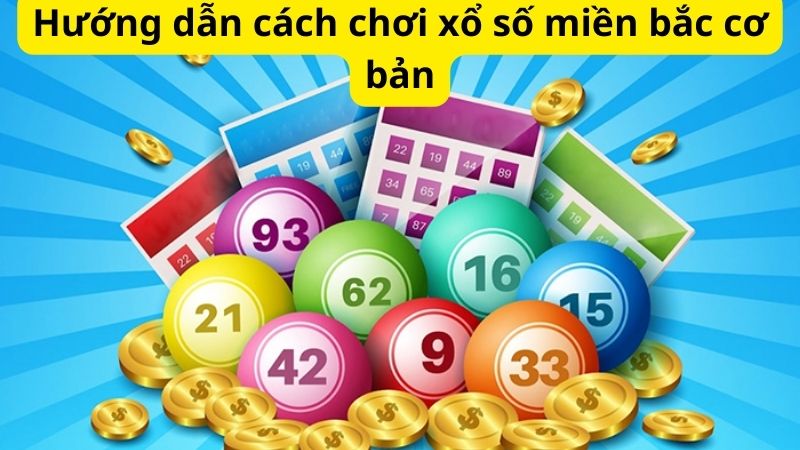 Hướng dẫn cách chơi xổ số miền bắc cơ bản