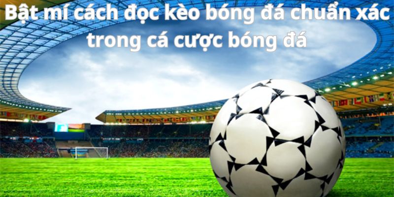 Bật mí cách đọc kèo bóng đá chuẩn xác trong cá cược bóng đá